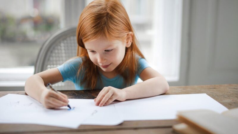 The Role of Homework In Enhancing A Child’s Studies